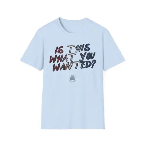 Is This What You Wanted? T-Shirt